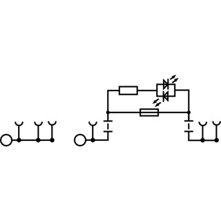 Распределительная клемма AAP22 4 LI-FS 10-36V