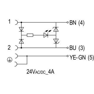 Круглые соед. разъемы|Прово SAIL-VSCD-M12G-0.3U