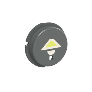 SBL-N2GR Кнопка освещение free@home, Zenit, серый
