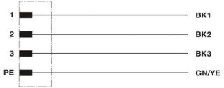 SACC-E-M12MSS-4CON-M16/1,0 PE