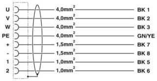 Электрическая схема, Цоколевка контактов штекера/розетки M40