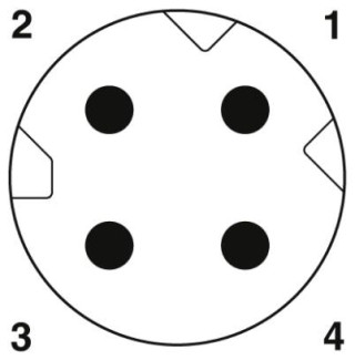 Схематический чертеж, Расположение контактов штекера М8, 4 полюса, кодировка D, вид со стороны штыревой части