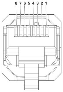 Схематический чертеж, Расположение полюсов вилки RJ45