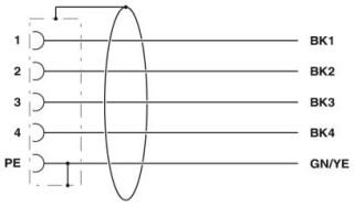 Электрическая схема, Цоколевка контактов розетки M12
