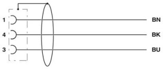 Электрическая схема, Цоколевка контактов розетки M12
